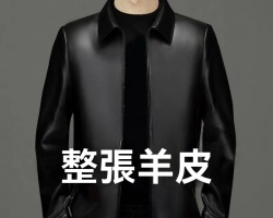 翻領休閒皮夾克